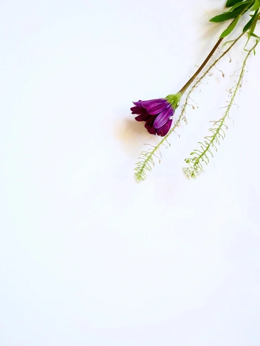 A purple flower and stem in the corner.