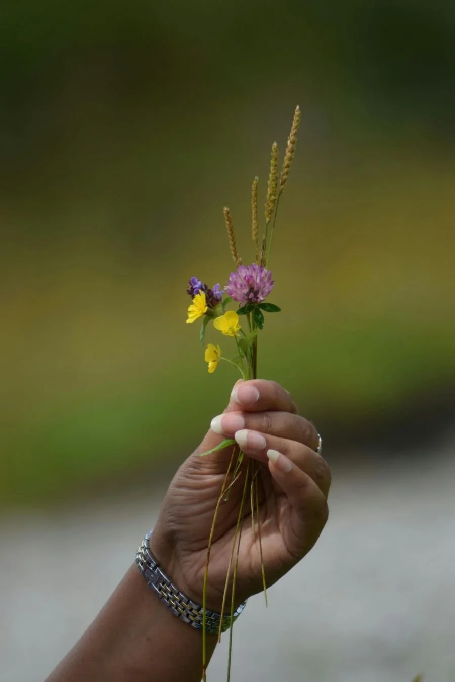 Hand offering small wildflower bouquet
