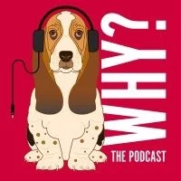 Illustration of a dog with headphones, next to the text 'WHY! THE PODCAST'.