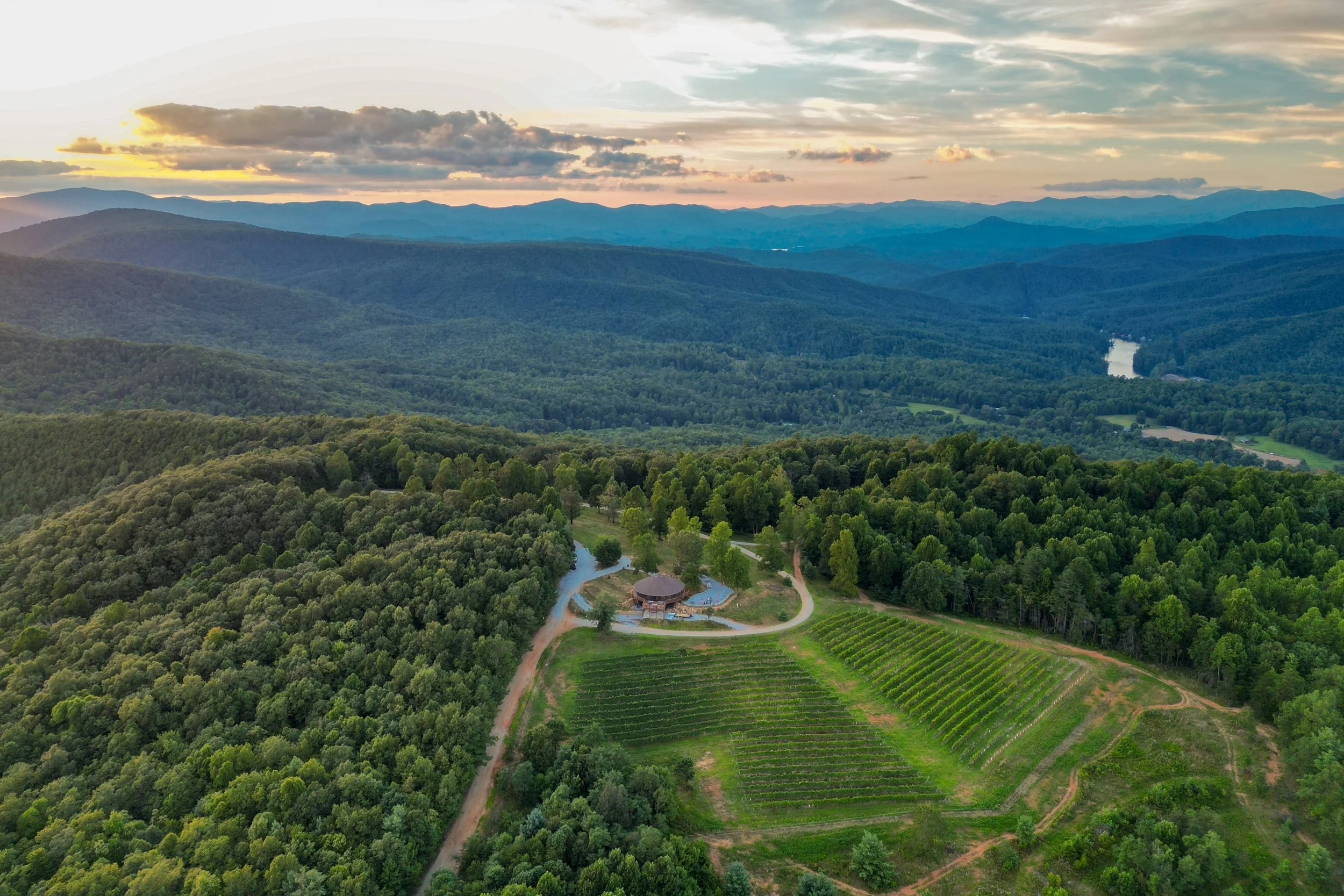 Aerial view of a lush green mountain landscape featuring a vineyard, a winding road, a small building, and a distant river with mountains in the background during sunset.