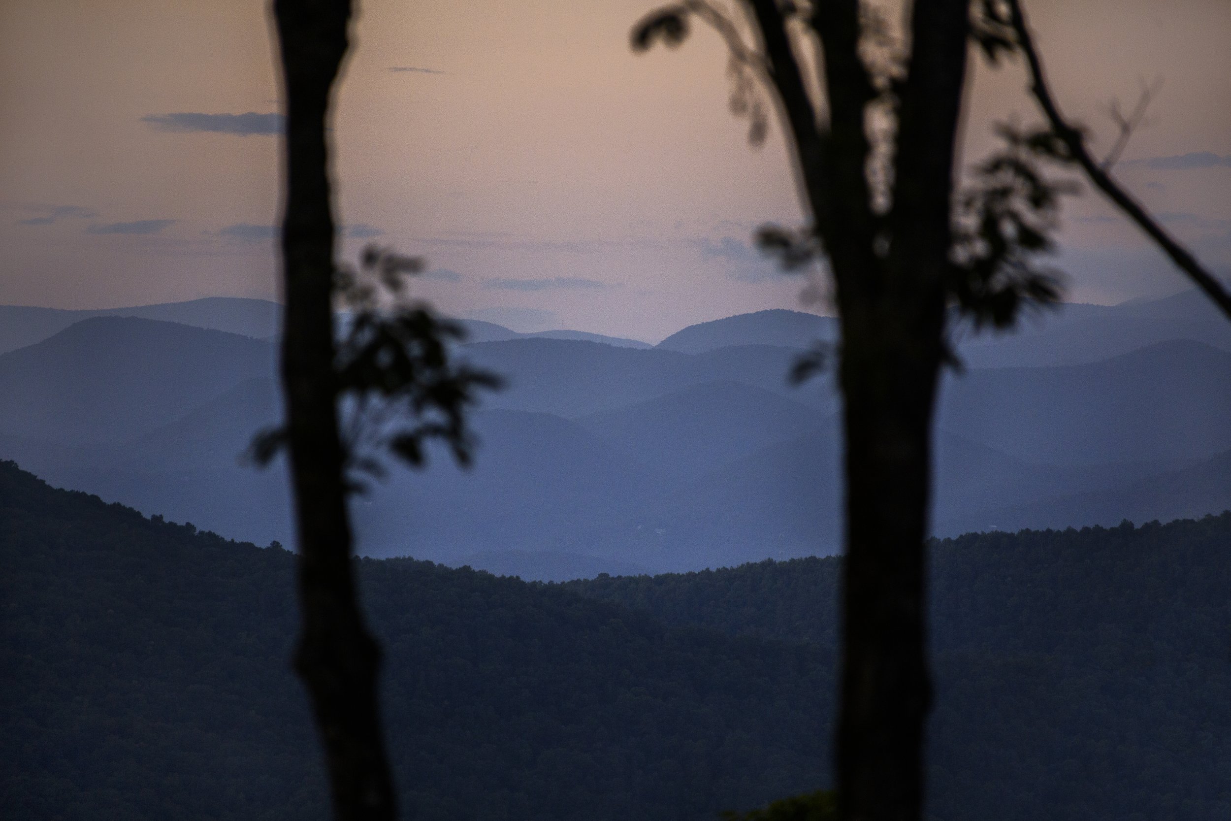 Silhouette of two trees in the foreground with a view of layered blue mountains at sunset or dusk in the background.