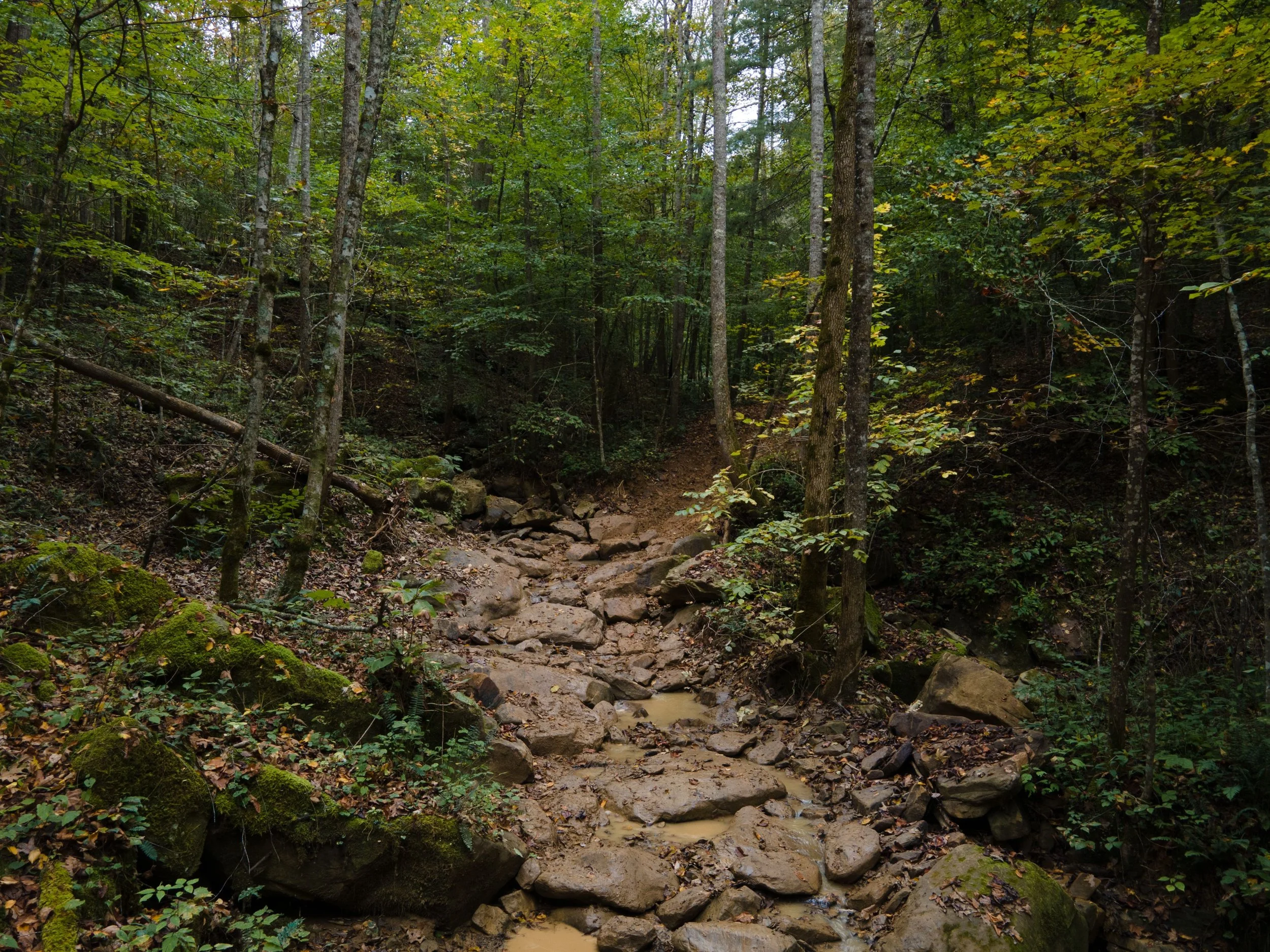What If You Are Walking Toward the Exact Thing You Are Trying to Avoid?