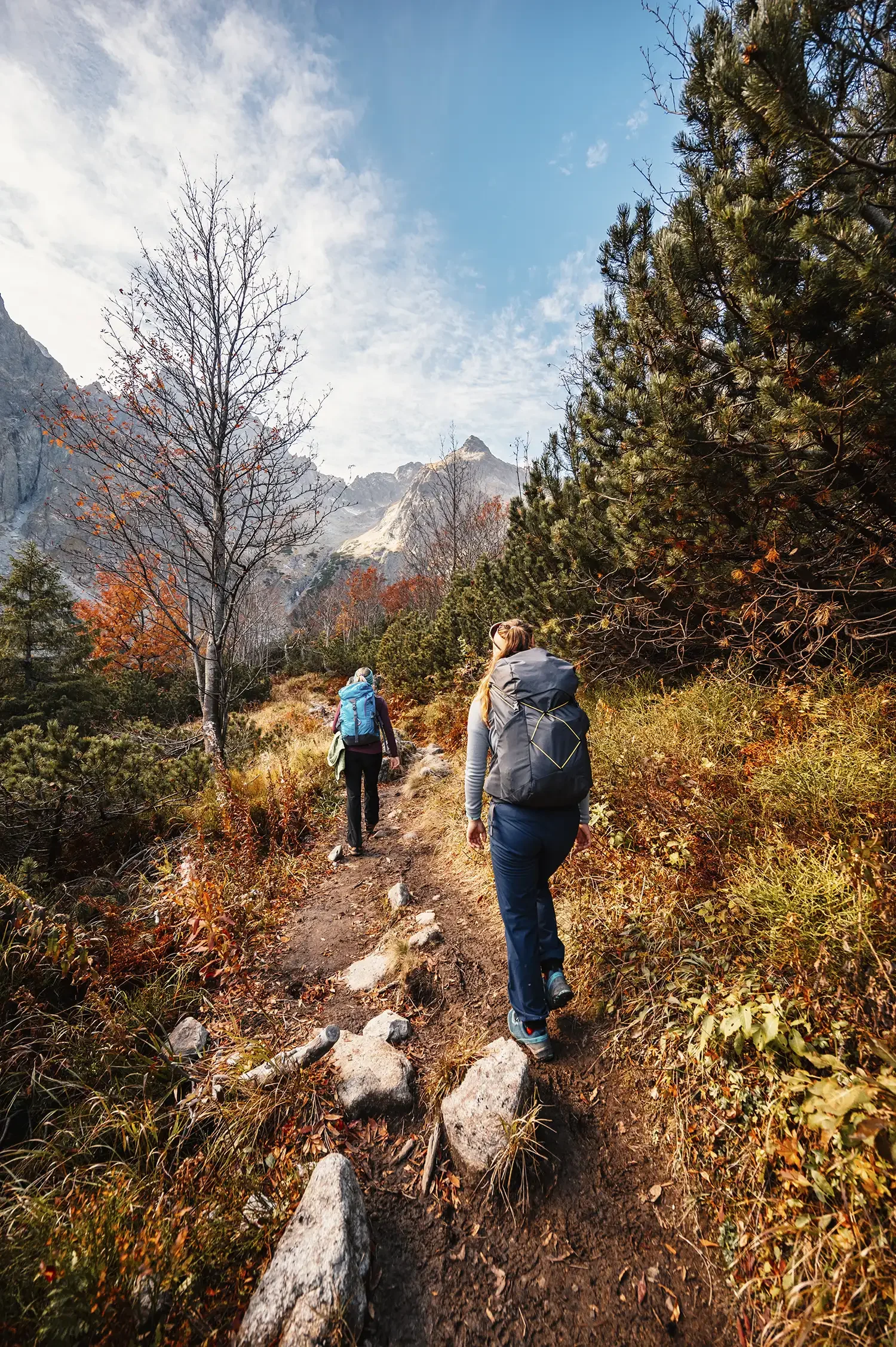 Two hikers walking on a trail in a mountainous area with autumn foliage, pines, and mountains in the background.