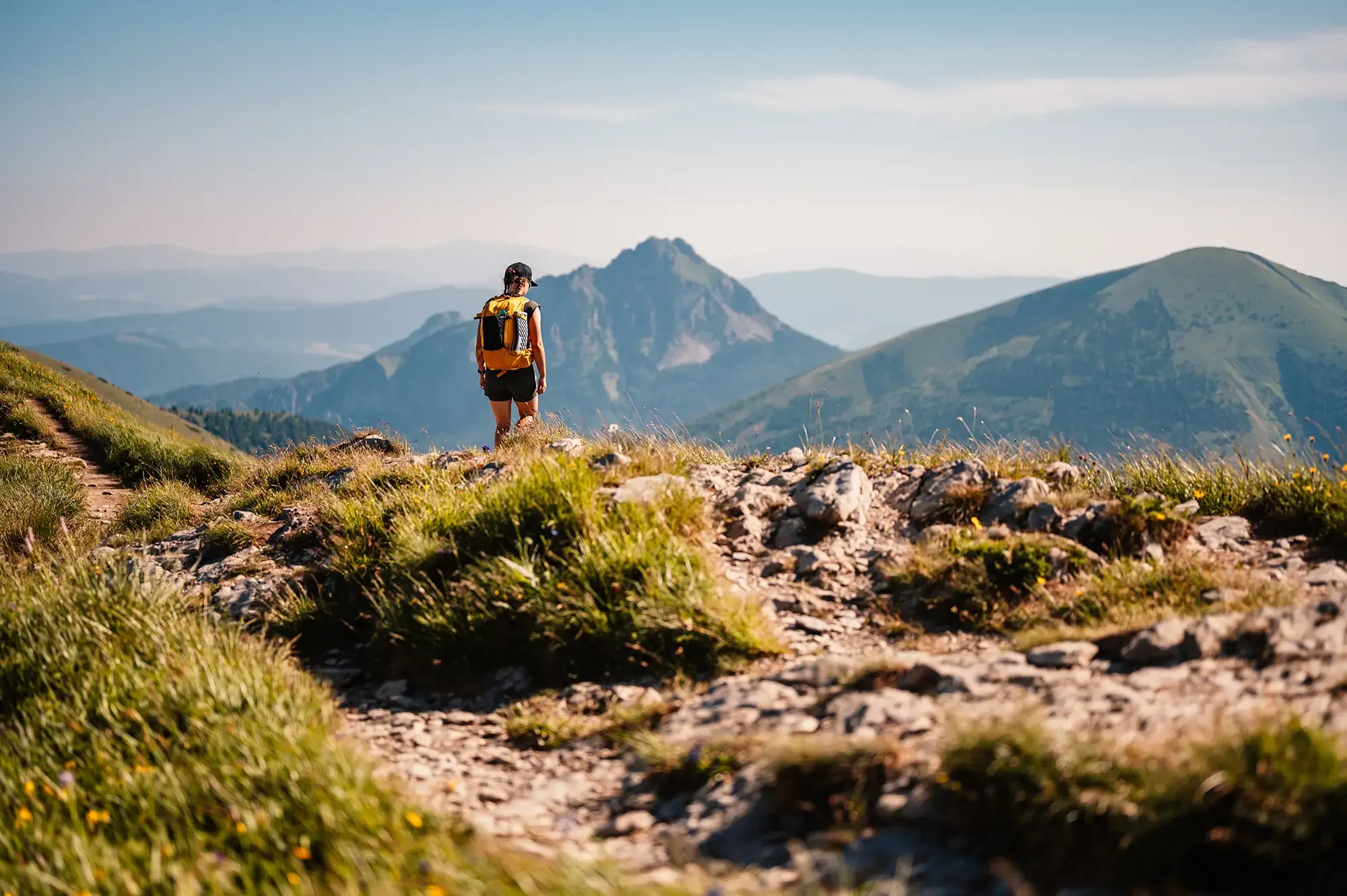 Reach your potential