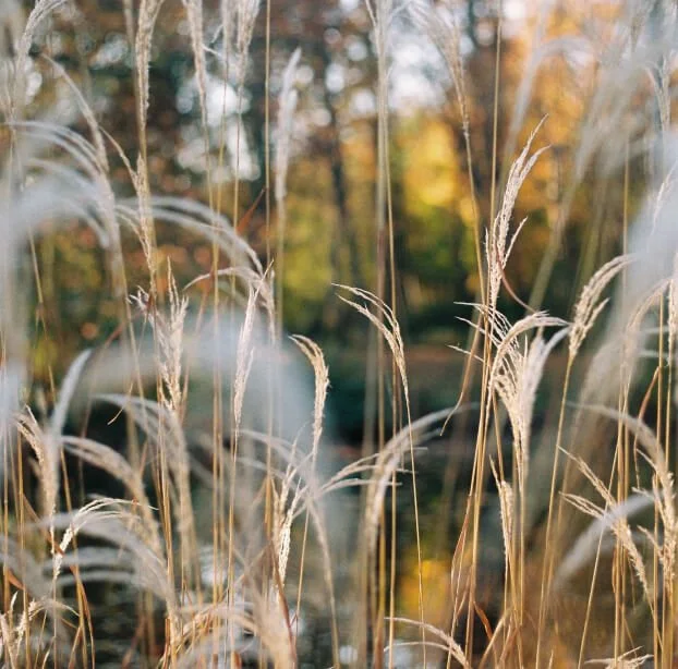 Blog Post Title Four