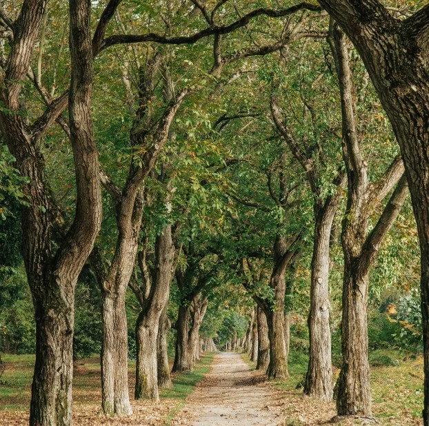 Blog Post Title Three