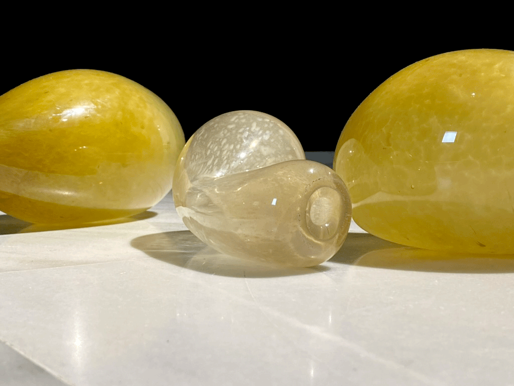 Tranformaciones, arte, ecología y tecnología (2024)