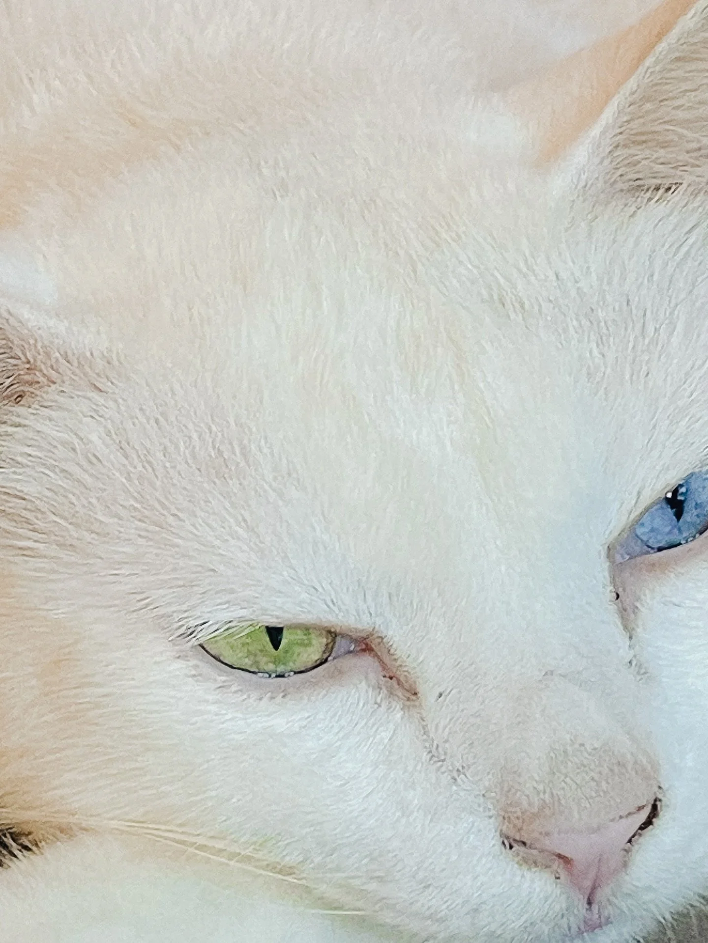 Thailand withdrawal archive.

#streetphotographysociety 
#lens_culture 
#streets_unseen 
#jup_street 
#thailand