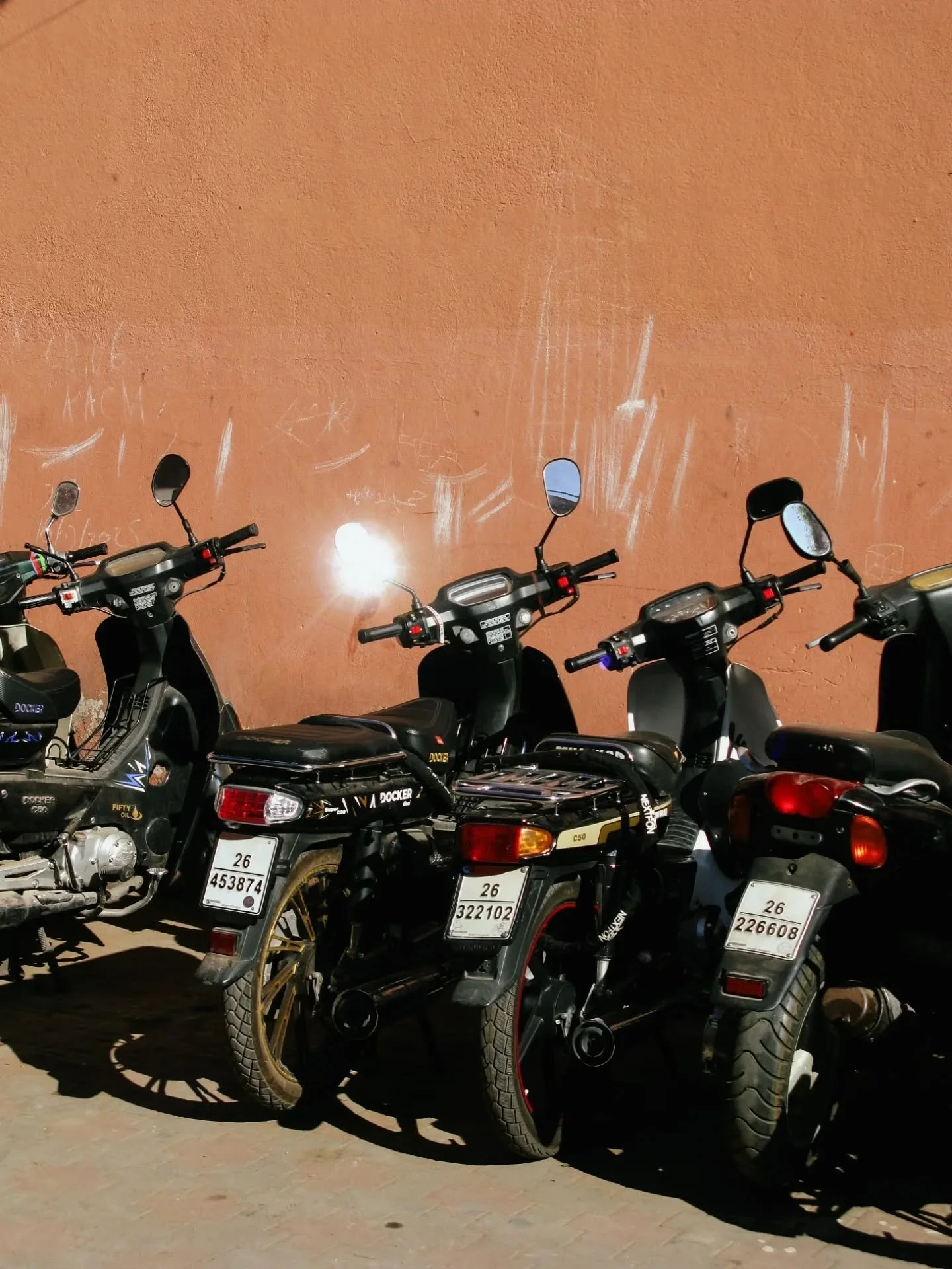 Back in Morocco for the Summer season.
