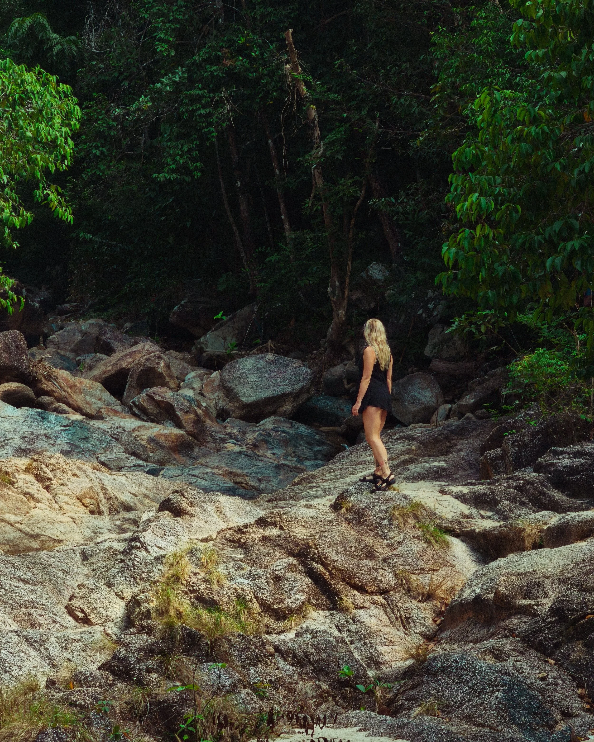 A woman with long blonde hair wearing a black dress and heels standing on rocks in a lush green forest.