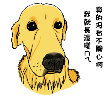 09-我就長這樣.png