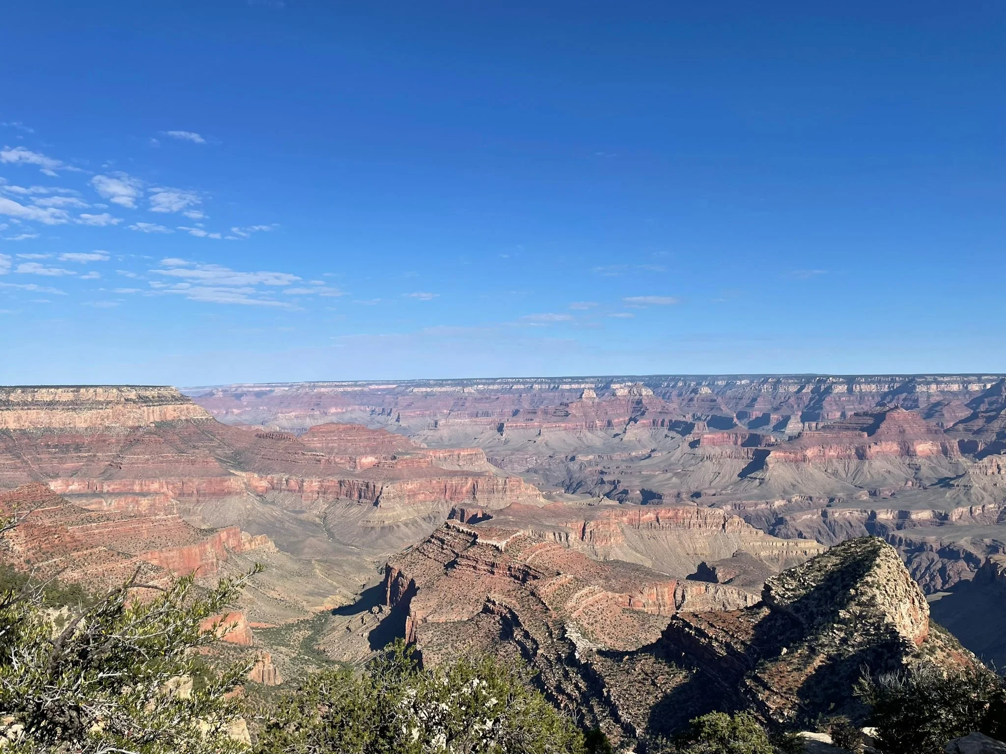 Blick in den Grand Canyon bei sonnigem Himmel, mit sichtbaren Felsen und Vegetation im Vordergrund.