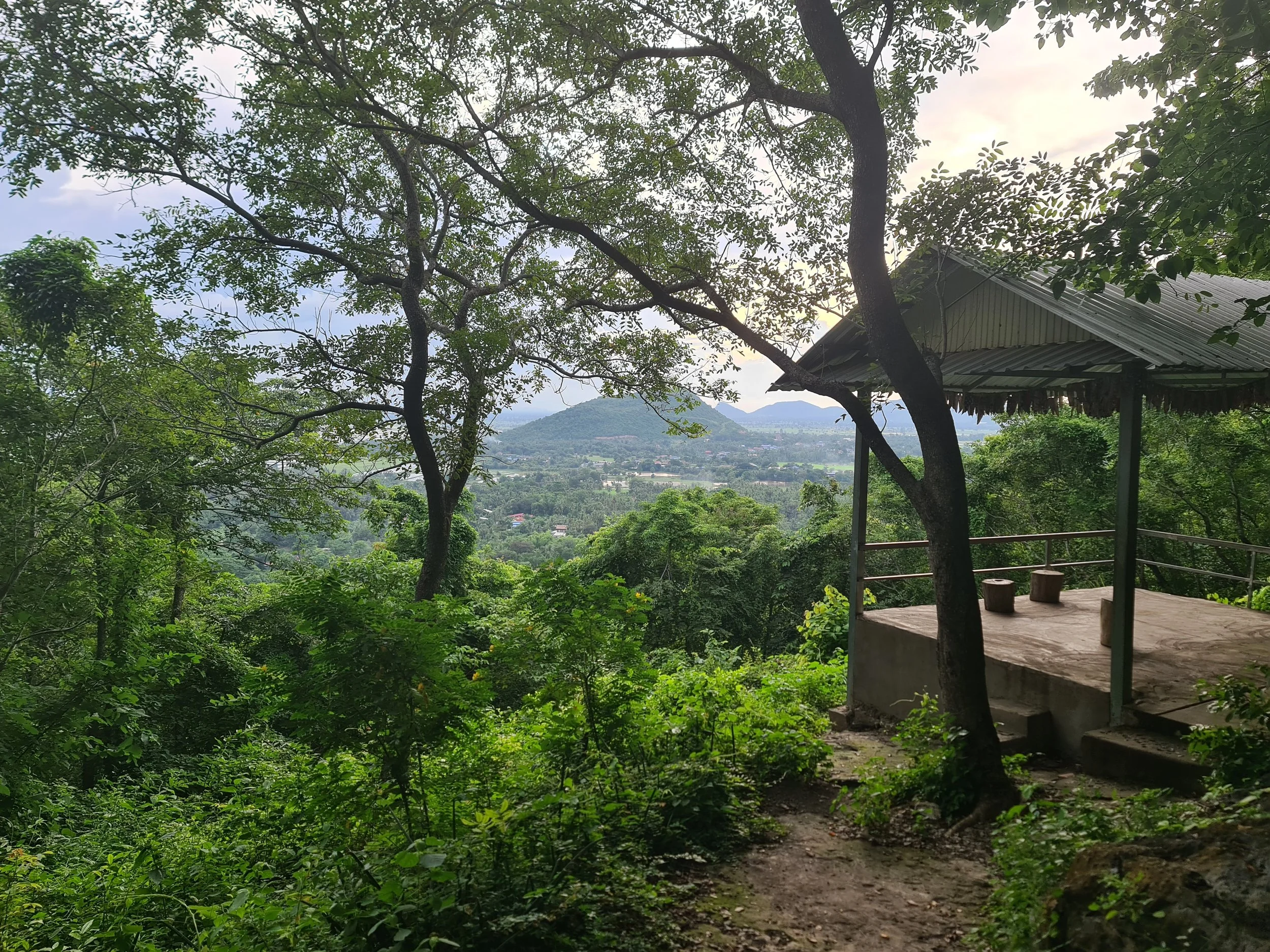 Blick auf einen bewachsenen Hügel mit einem schattigen Aussichtsplattform, umgeben von Bäumen und grüner Natur, mit Bergen im Hintergrund.