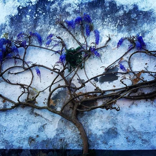 [2020-03-31] 614099730144870400  - 7.jpg