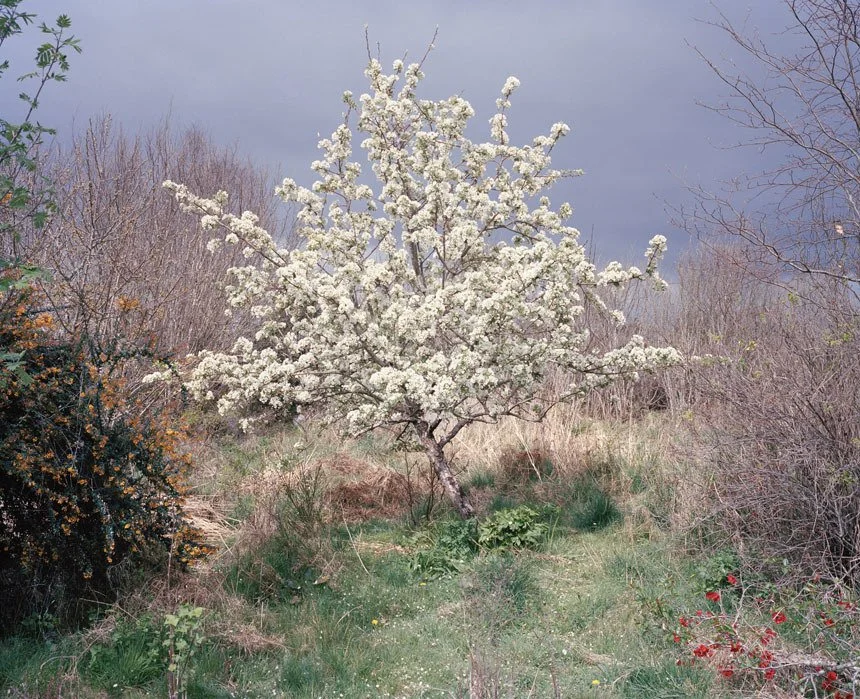 [2020-03-30] 614024046775025664  - 4.jpg