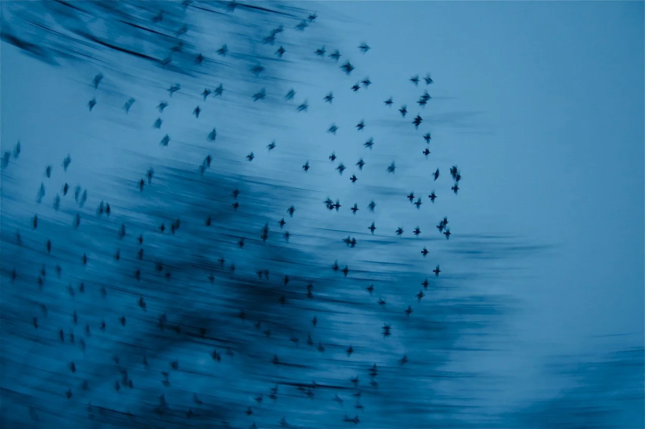 [2020-03-30] 614023857422073856  - 7.jpg