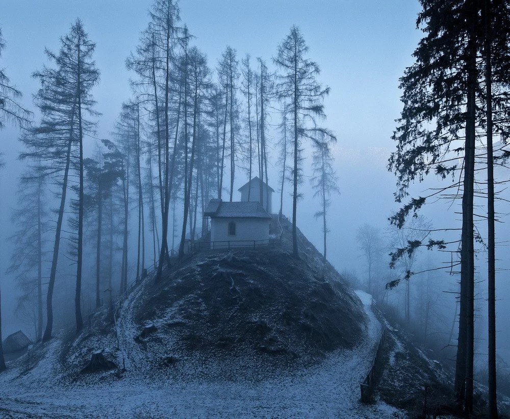 [2020-03-30] 614023919726411776  - 9.jpg