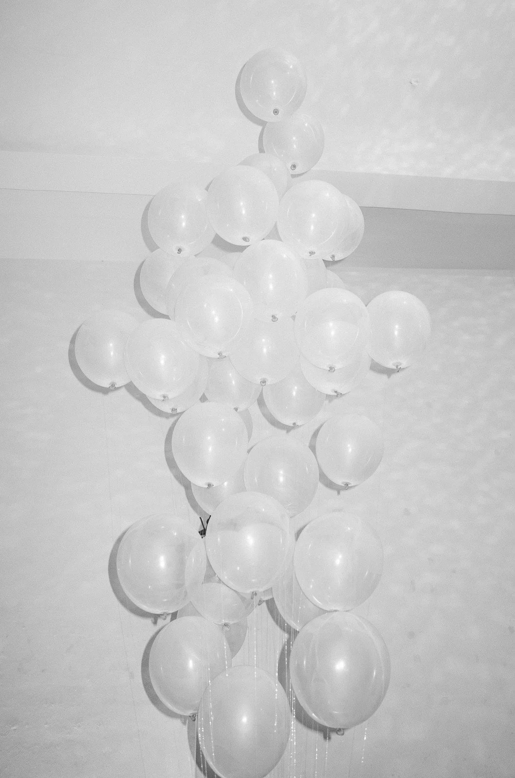 [2020-03-31] 614099805589864448  - 5.jpg