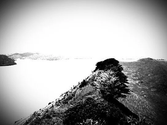 [2020-03-31] 614100108706037760  - 2.jpg