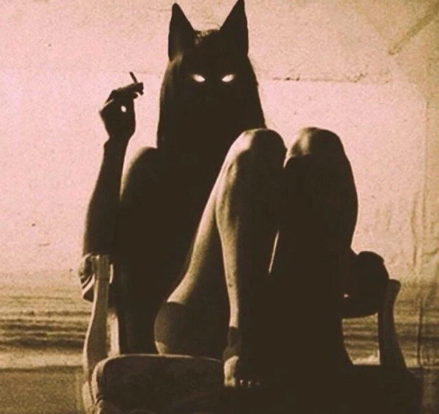 [2020-03-31] 614099805589864448  - 3.jpg