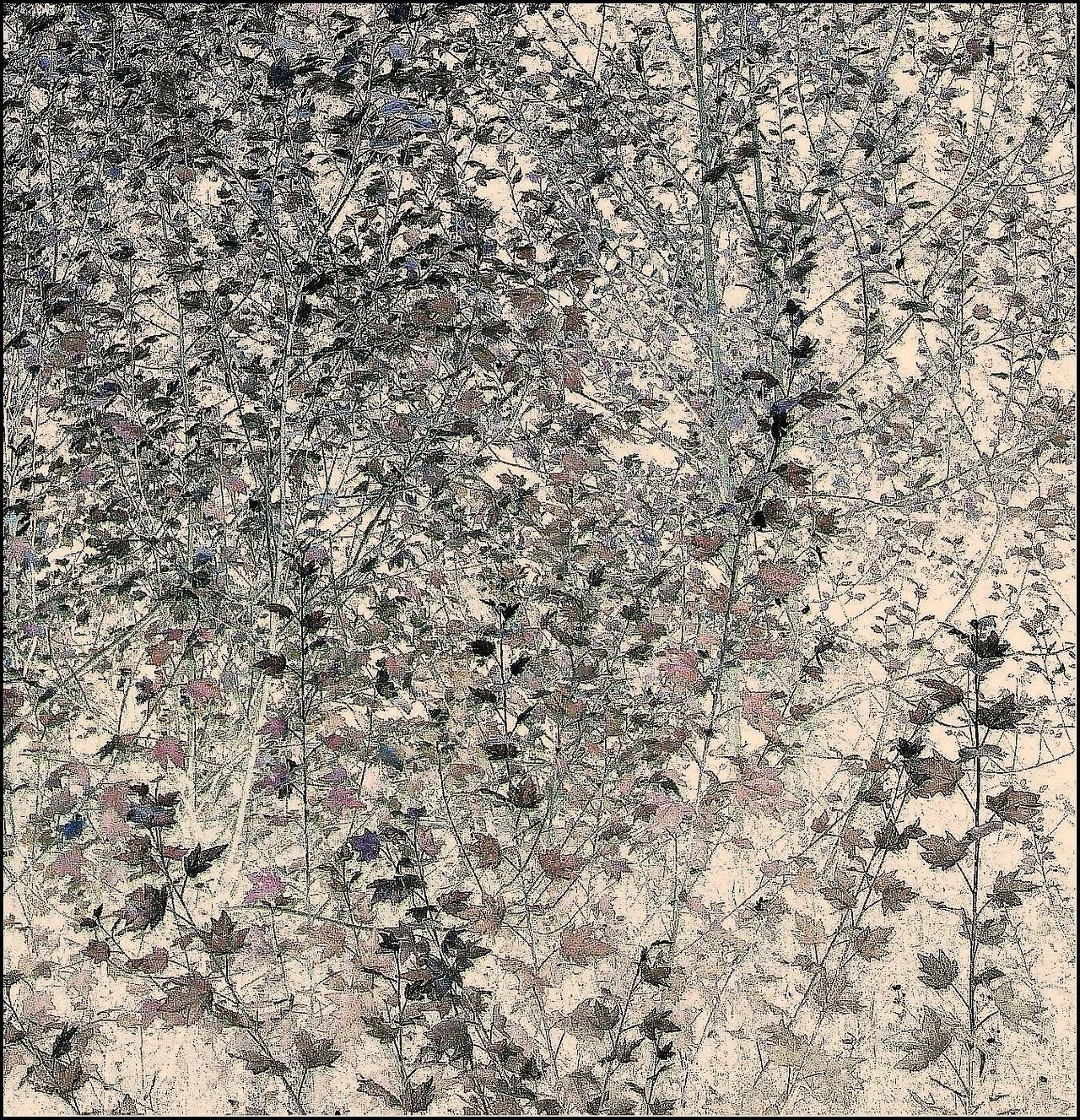 [2020-03-31] 614100006053593088  - 9.jpg