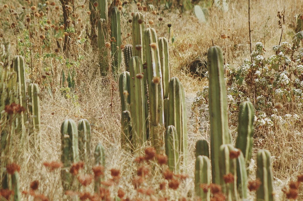 [2020-03-31] 614100060624584704  - 10.jpg