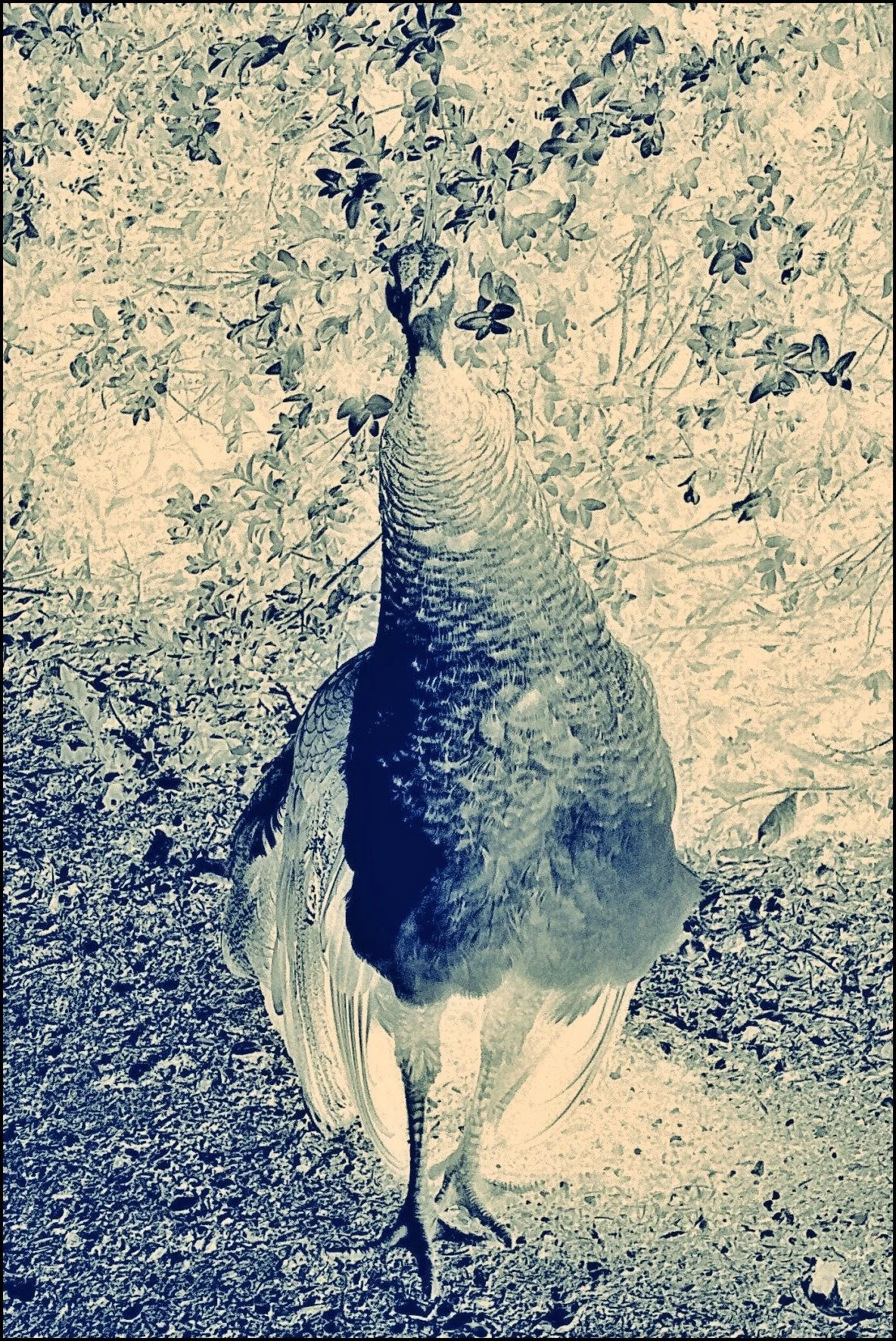 [2020-03-31] 614099730144870400  - 8.jpg