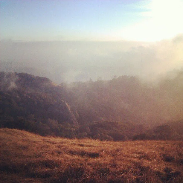 [2020-03-30] 614024323644178432  - 6.jpg