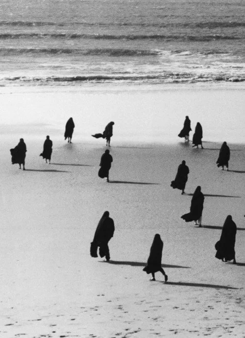 [2020-03-30] 614023998890819584  - 6.jpg