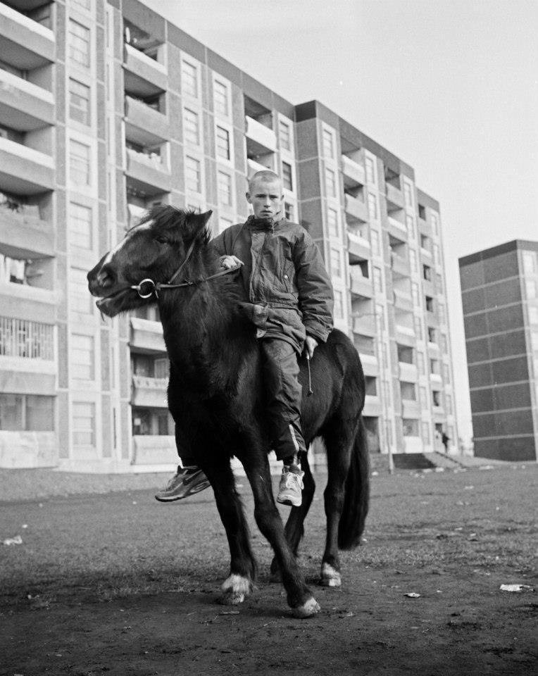 [2020-03-30] 614024582026887168  - 8.jpg