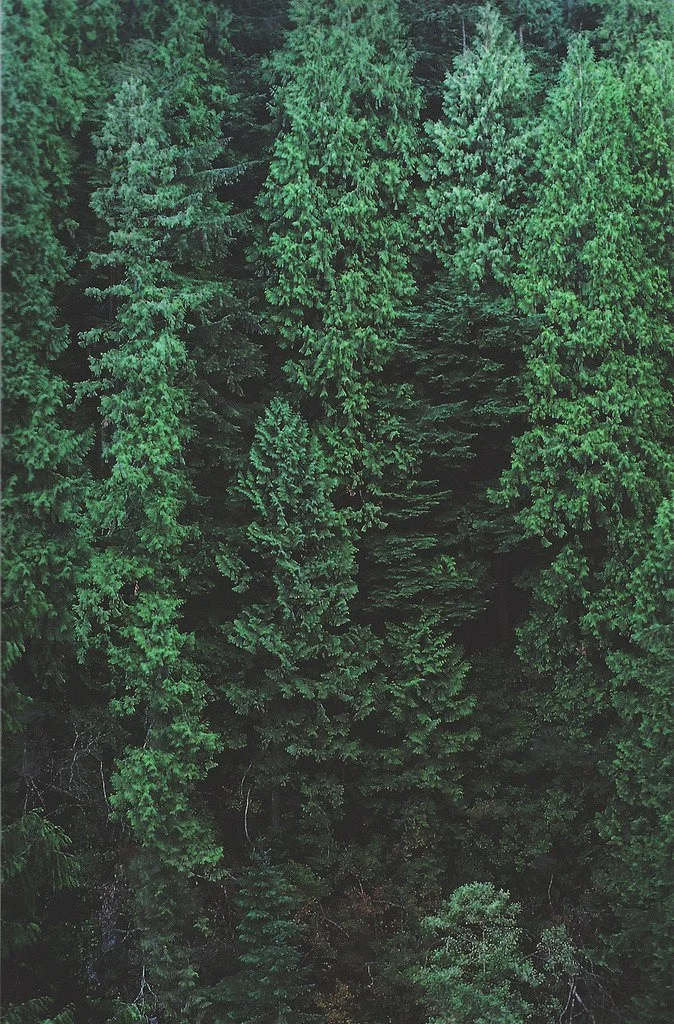 [2020-03-30] 614024046775025664  - 9.jpg