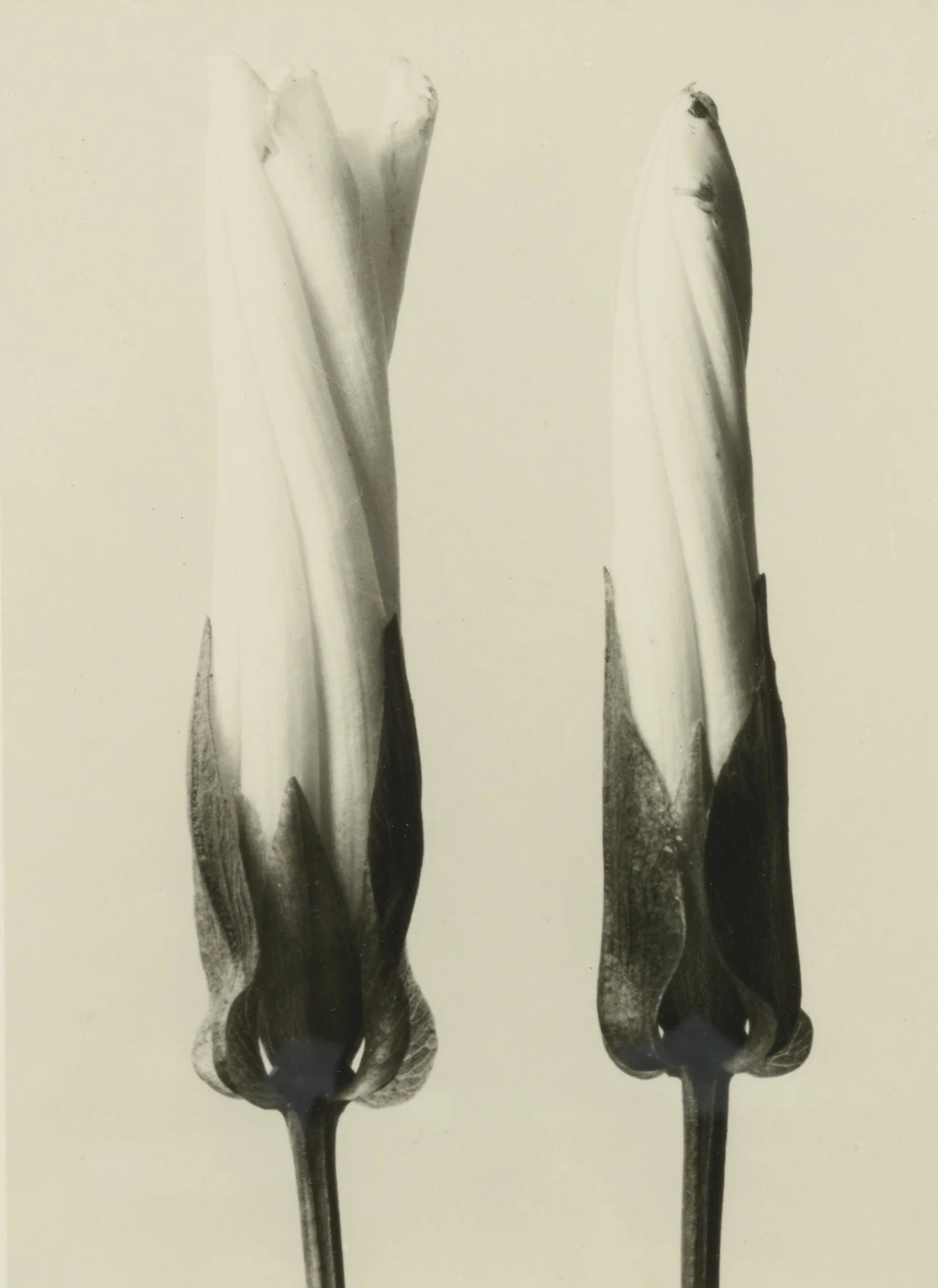 [2020-03-31] 614099461759811584  - 9.jpg