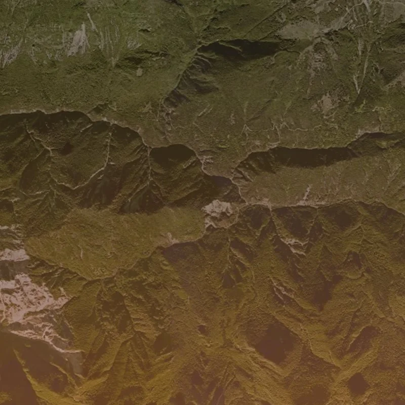 [2020-03-31] 614099513942163456  - 5.jpg