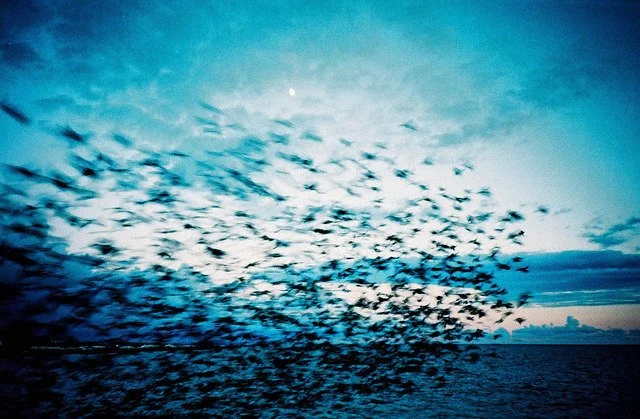 [2020-03-30] 614023919726411776  - 4.jpg