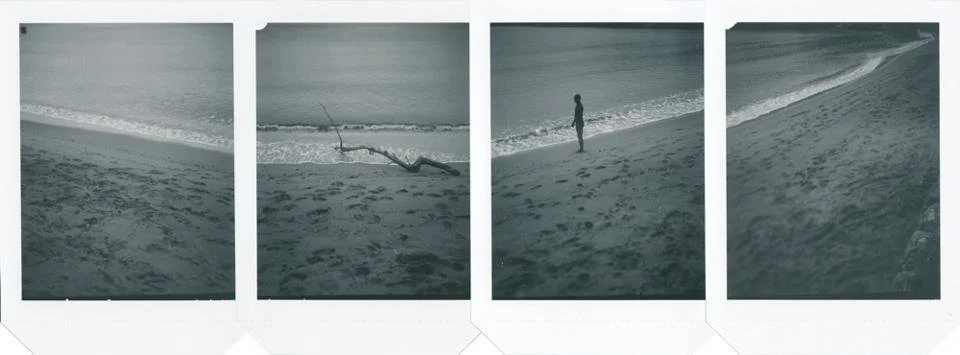 [2020-03-30] 614023998890819584  - 5.jpg