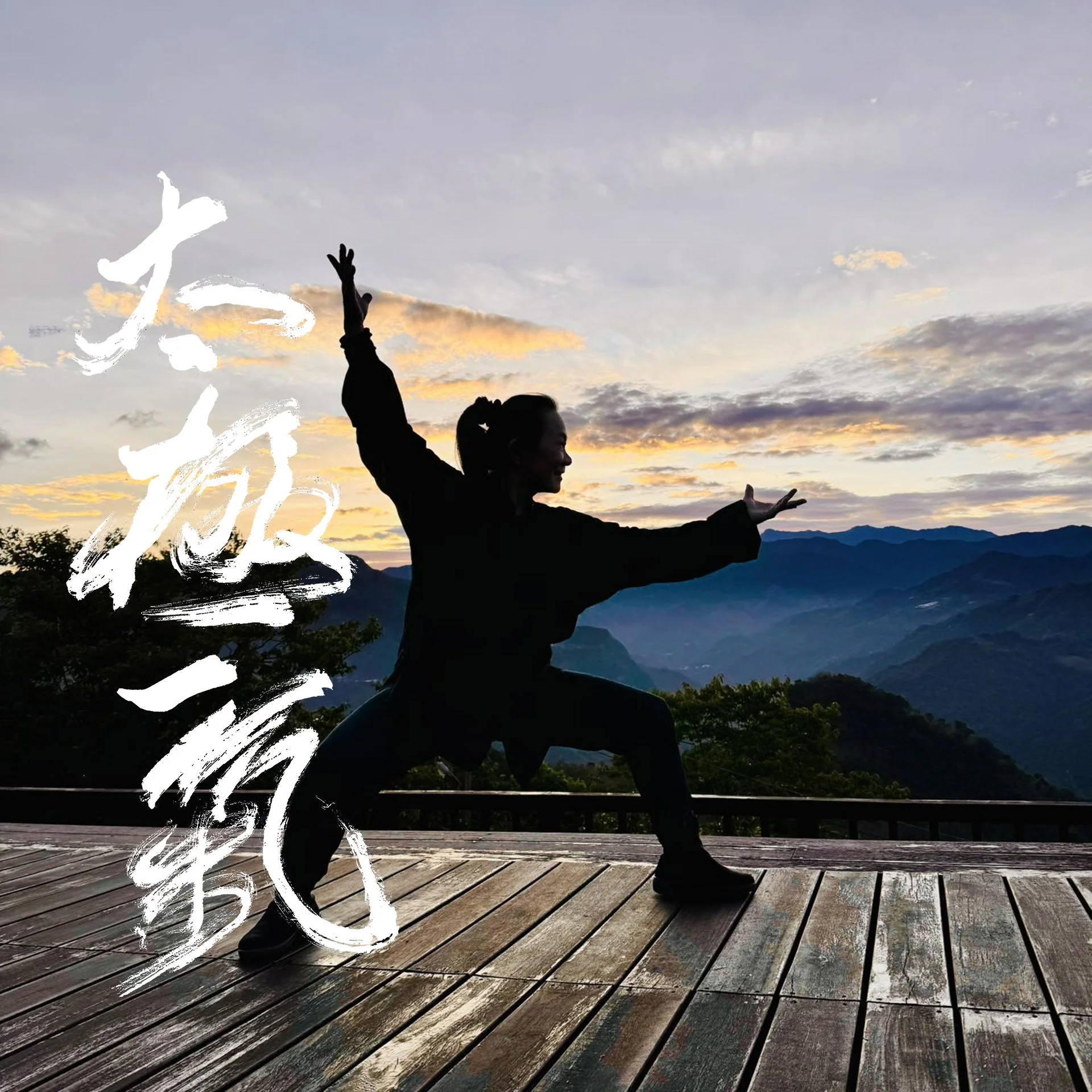 Master 李佩懿 Lee Pei-Yi performing Chen's Style Taijiquan (Taichi), teaching her Taichi Wellness system