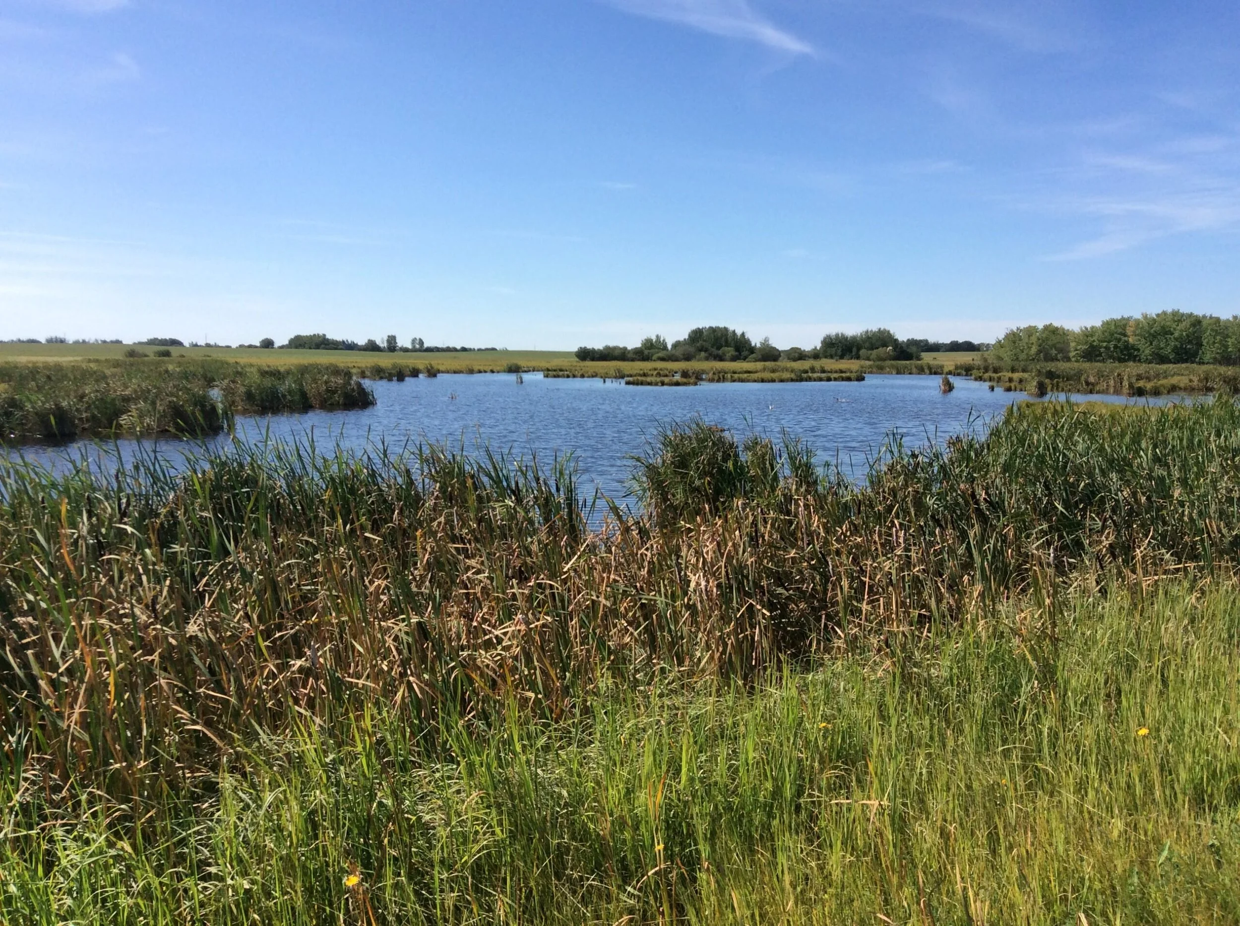 Council Briefing Newsletter - Nov 2021