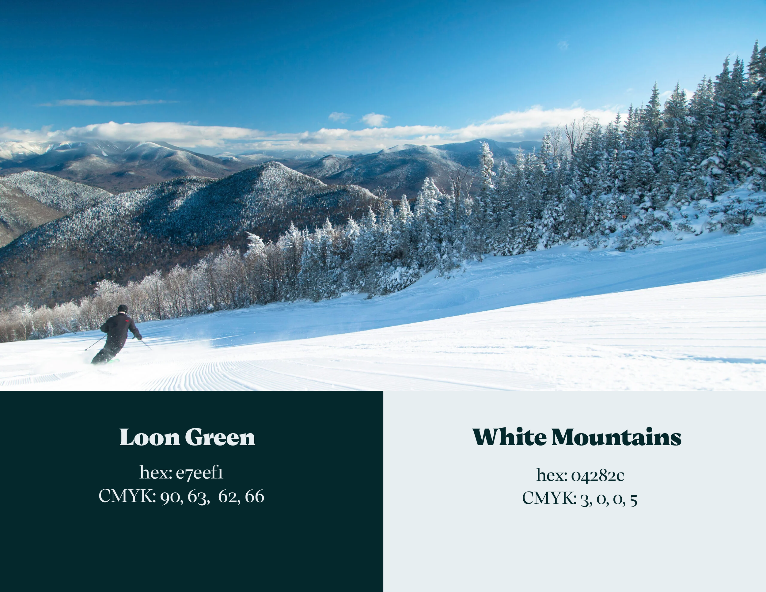 Loon Hotel Presentation-06.png
