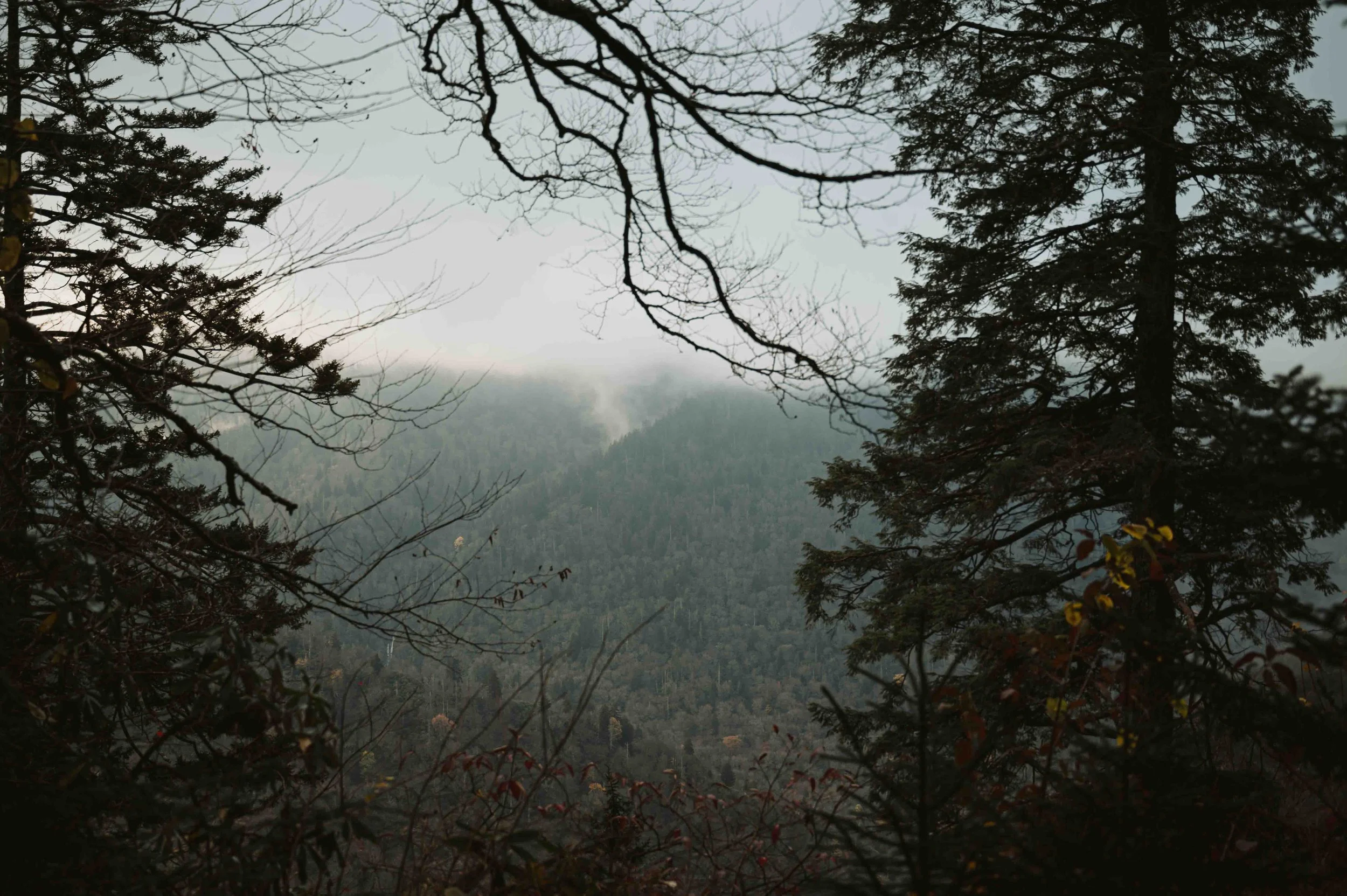 AlumCaveHike-76.jpg