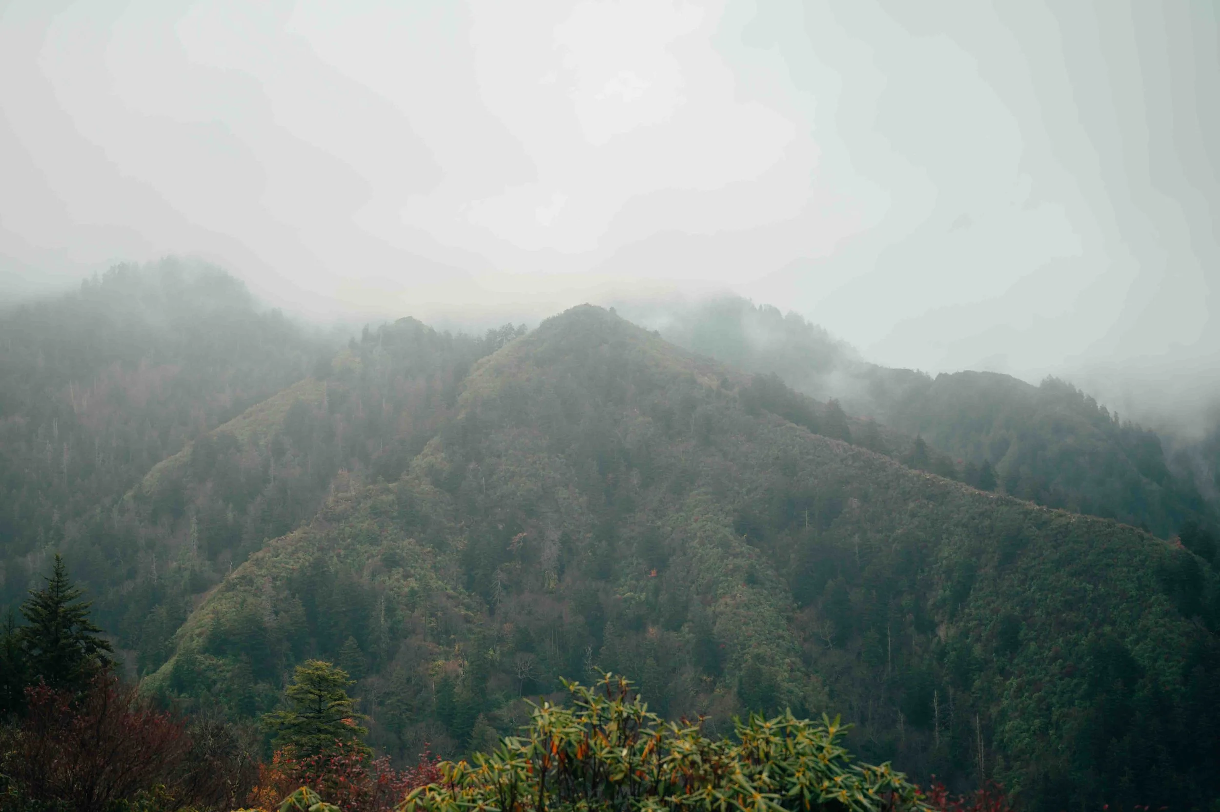 AlumCaveHike-133.jpg