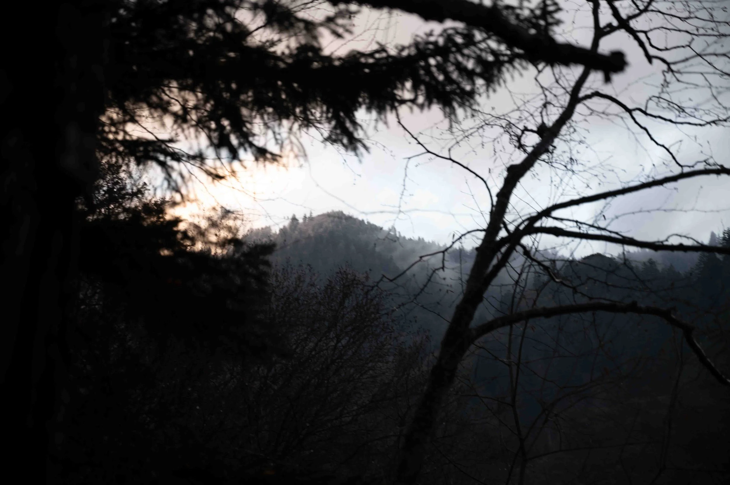 AlumCaveHike-14.jpg