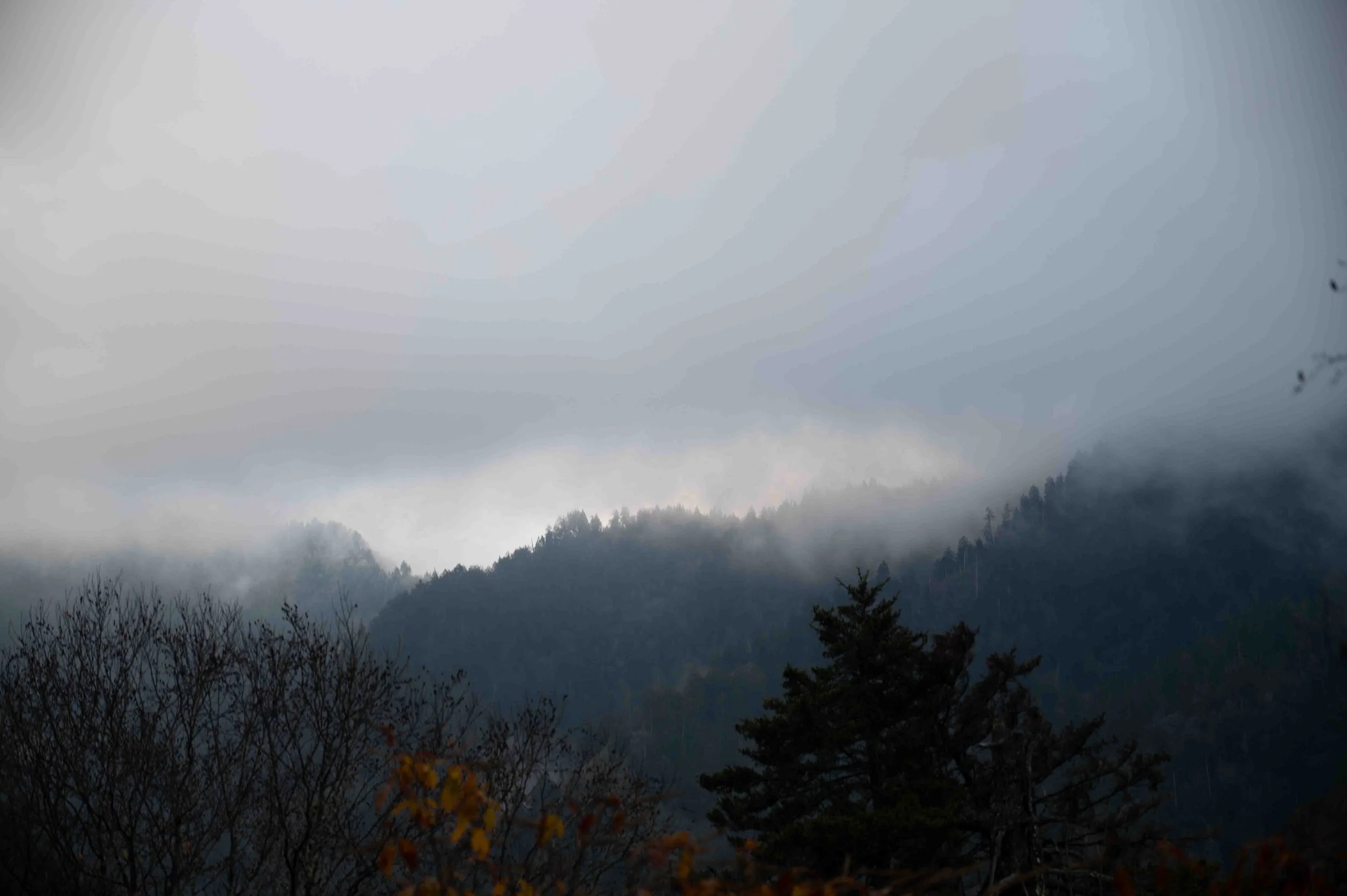 AlumCaveHike-16.jpg