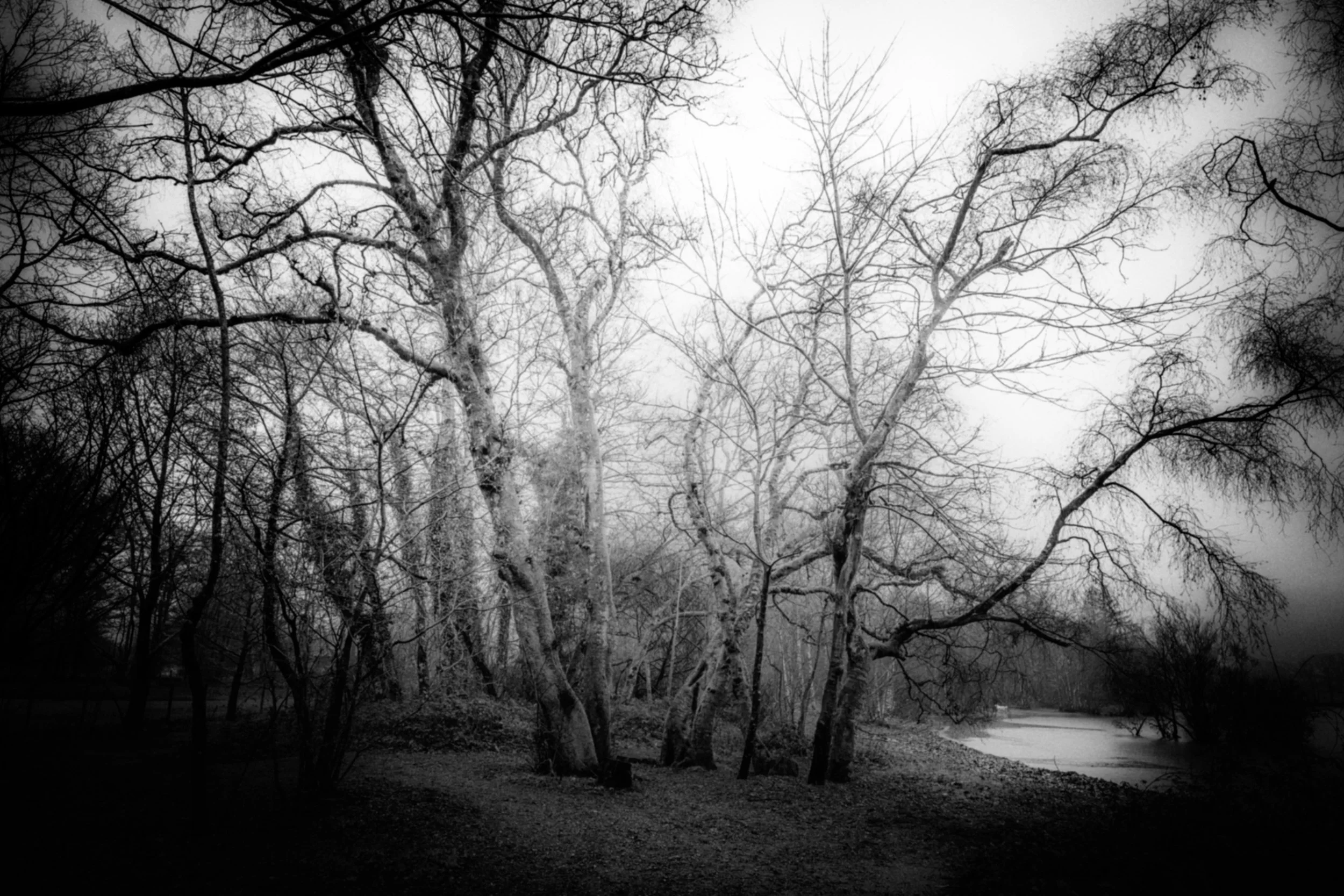 Black and white photo of leafless trees near a body of water on a cloudy day.