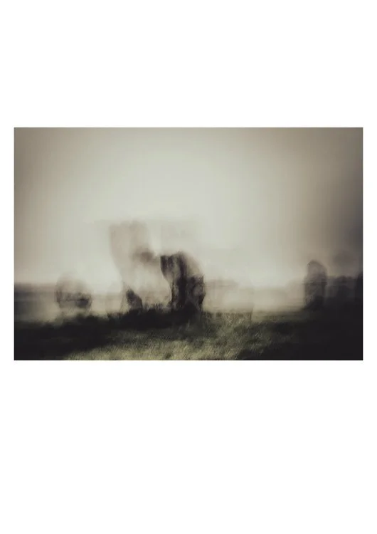 subjective-view-standing-stones standing stones of Duddo Northumbria, standing firm against the mist and rain