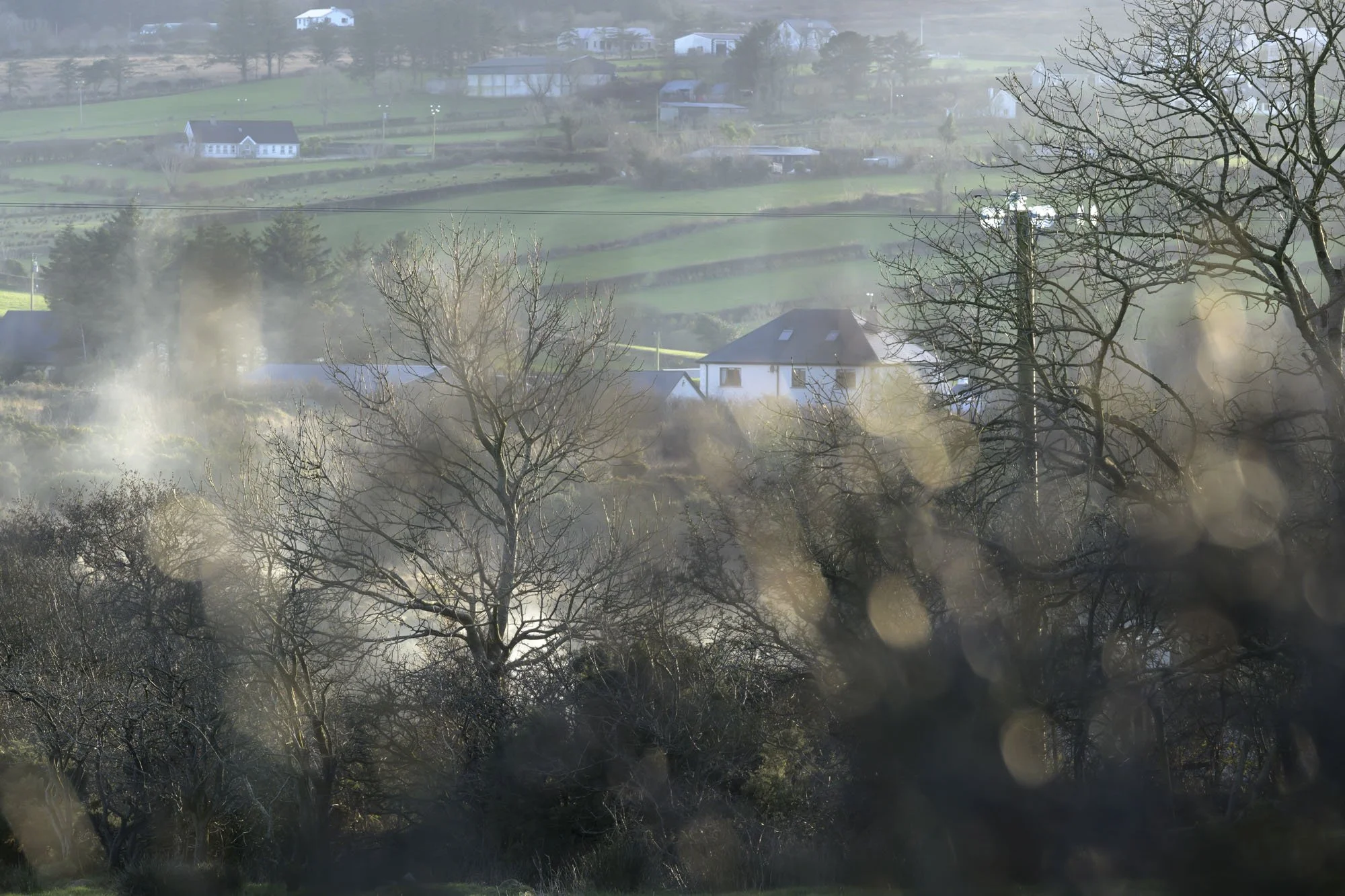 Dividing Lines 9 - farmers bonfires