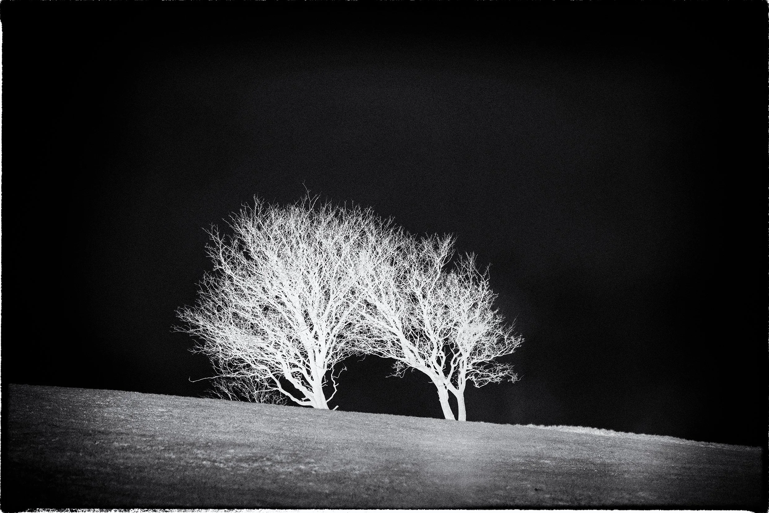 Frankie McAllister's series of black and white negative landscape images