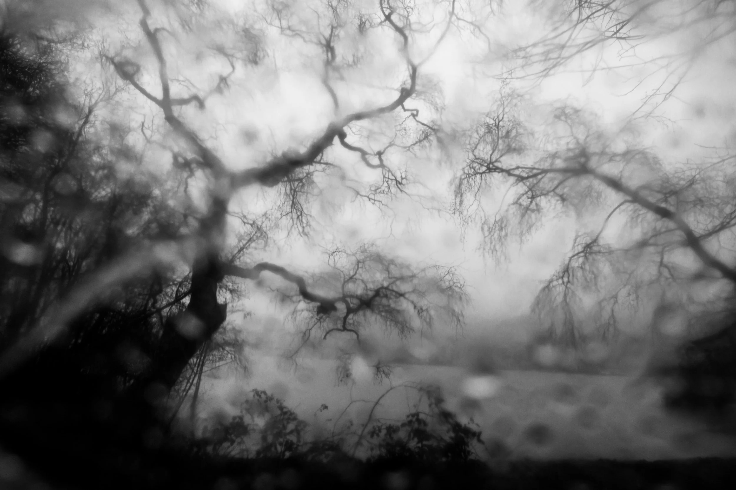 Black and white photo of leafless tree branches against a cloudy sky, viewed through a rain-spattered window.