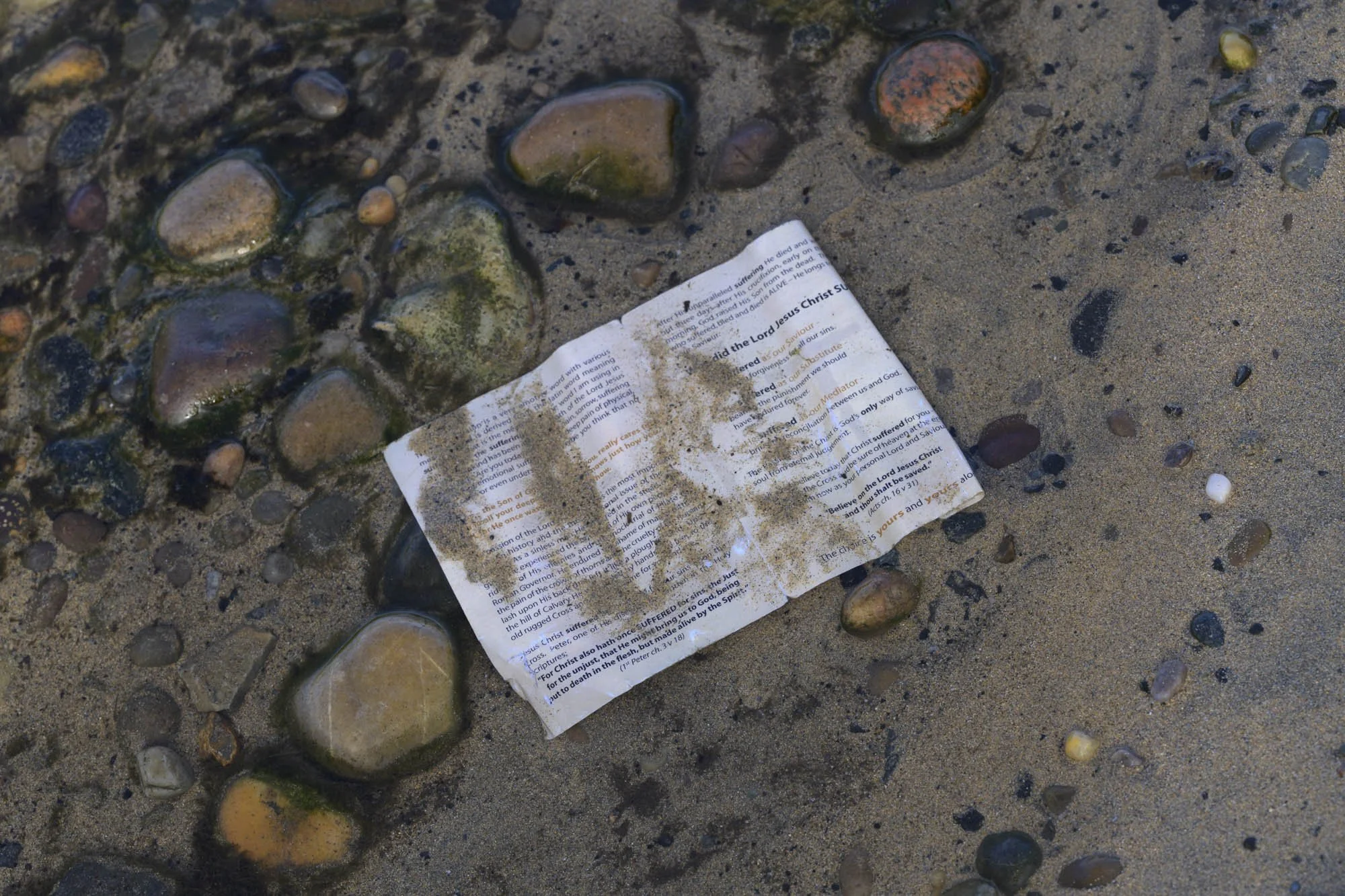 Dividing Lines 11 - a piece of printed paper wet and trodden into sand