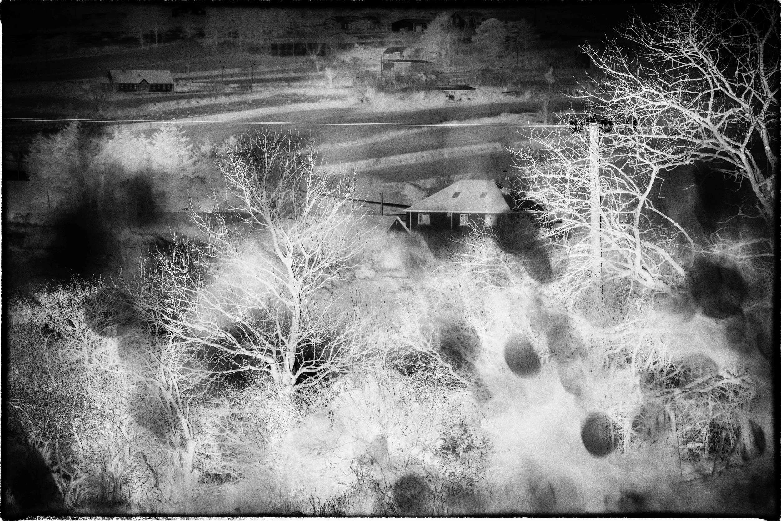 black and white negative landscape image