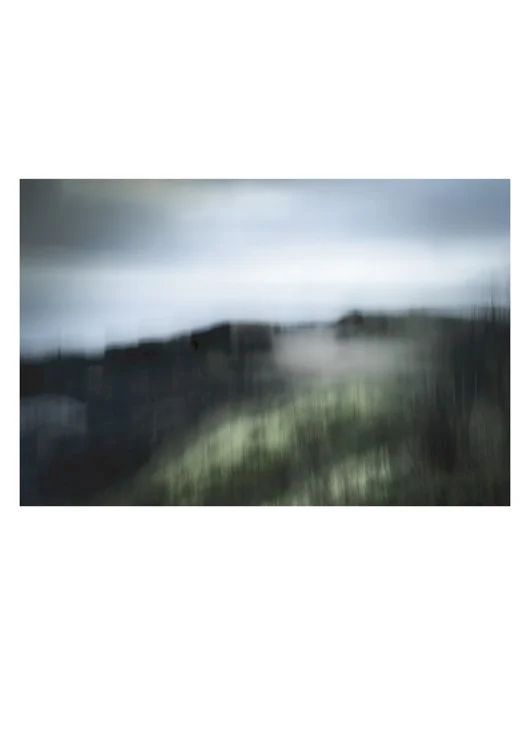 subjective-view-seagrass patchy seagrass in shades of sage and jade, against a low grey sky in Northumbria